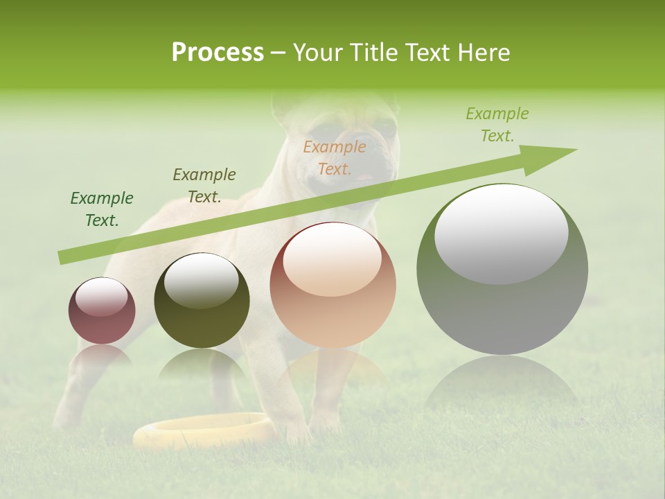 Employing Shows Small PowerPoint Template