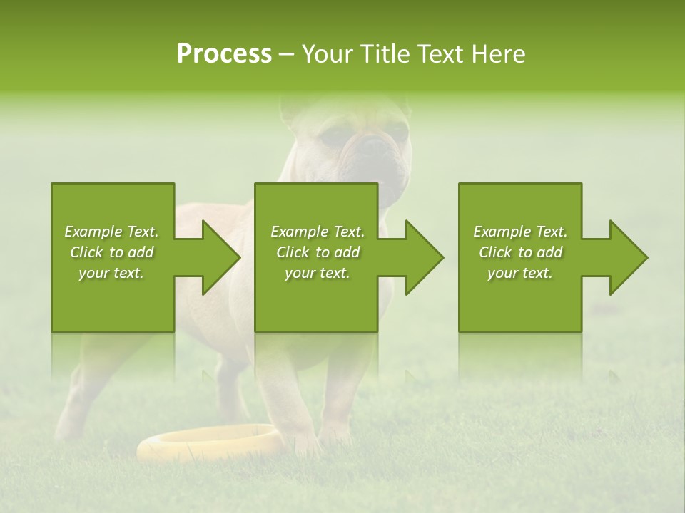 Employing Shows Small PowerPoint Template