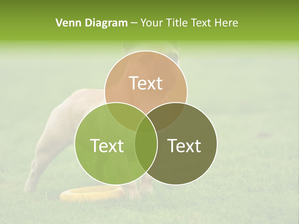 Employing Shows Small PowerPoint Template