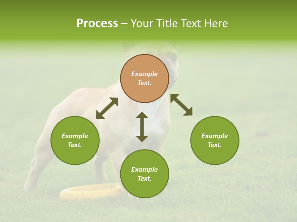 Employing Shows Small PowerPoint Template