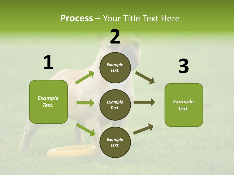 Employing Shows Small PowerPoint Template