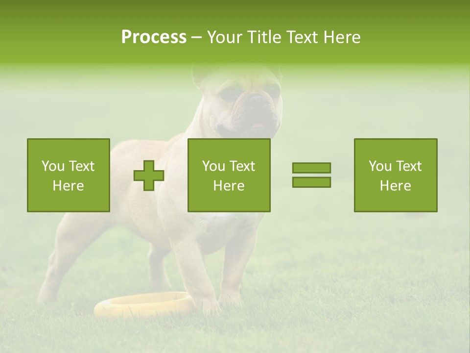 Employing Shows Small PowerPoint Template