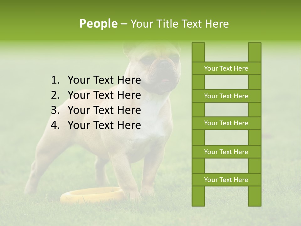Employing Shows Small PowerPoint Template