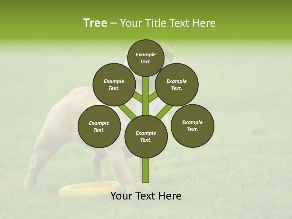 Employing Shows Small PowerPoint Template