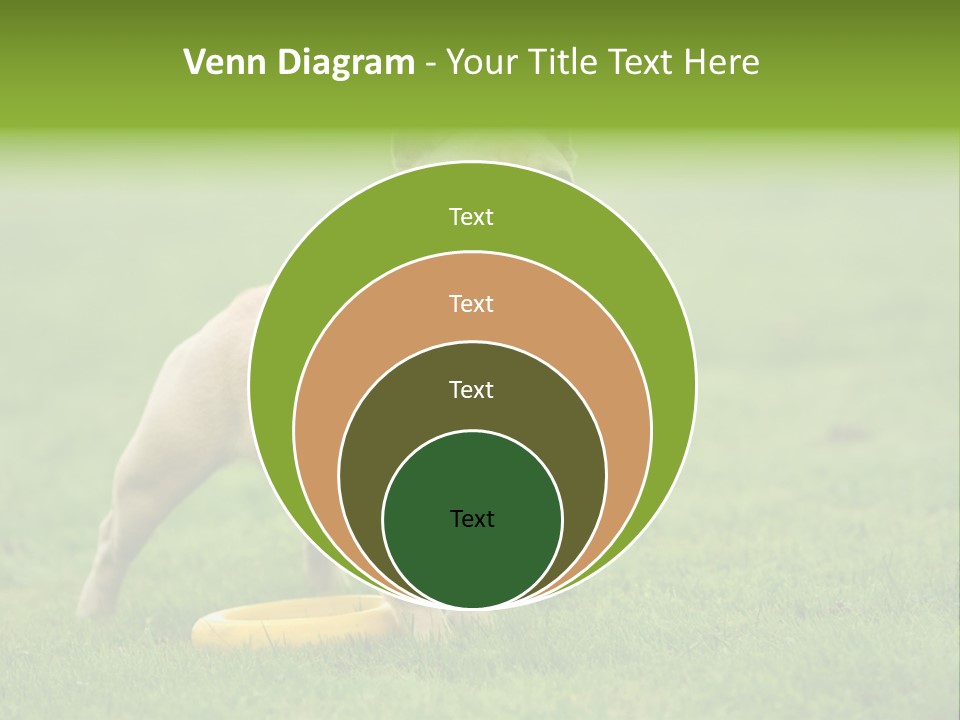 Employing Shows Small PowerPoint Template