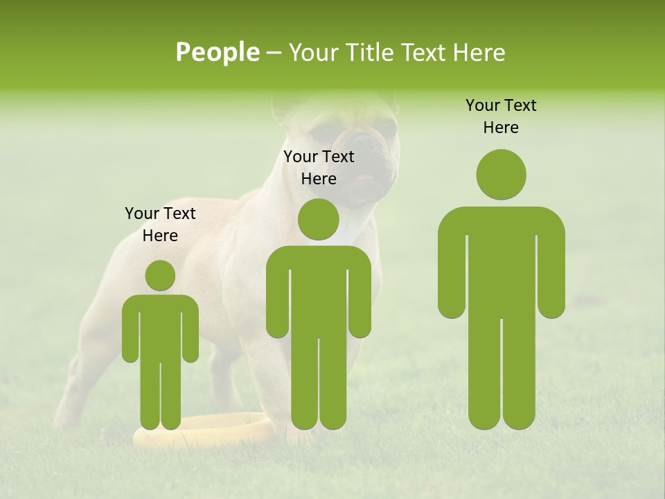 Employing Shows Small PowerPoint Template