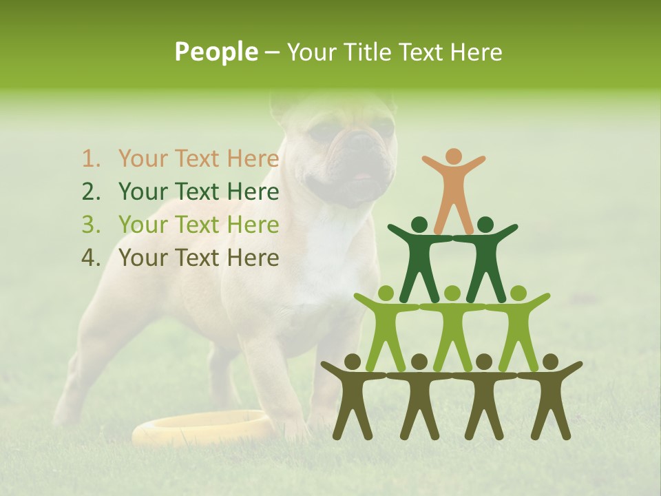 Employing Shows Small PowerPoint Template