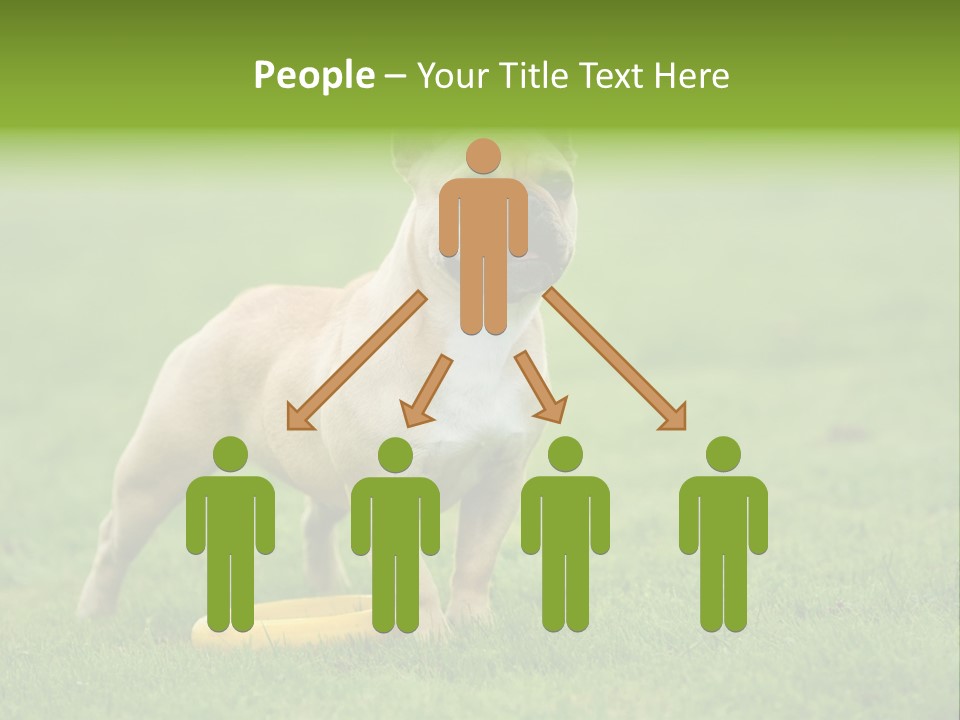 Employing Shows Small PowerPoint Template