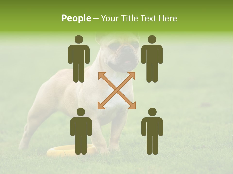 Employing Shows Small PowerPoint Template