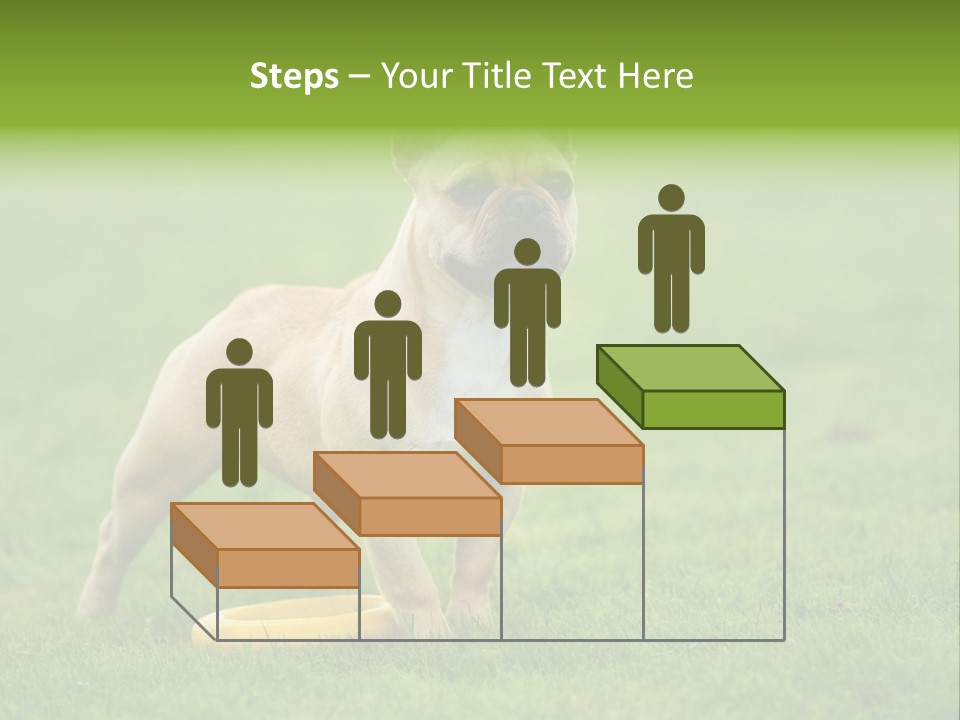 Employing Shows Small PowerPoint Template