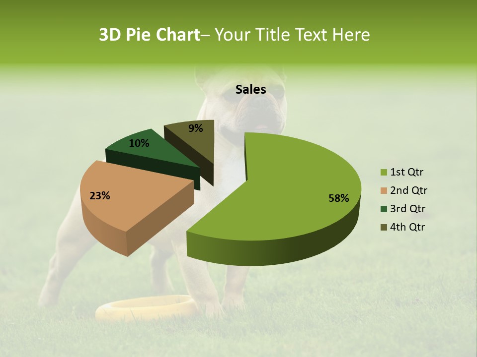 Employing Shows Small PowerPoint Template