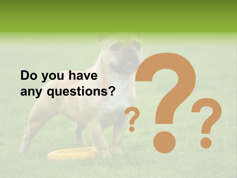 Employing Shows Small PowerPoint Template