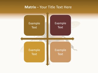 A Bee On A White Background Powerpoint Template PowerPoint Template