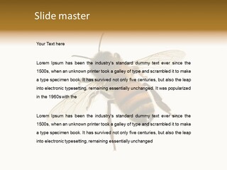 A Bee On A White Background Powerpoint Template PowerPoint Template