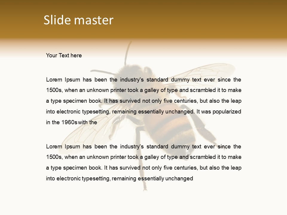 A Bee On A White Background Powerpoint Template PowerPoint Template