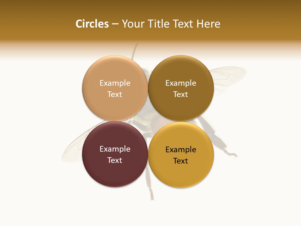 A Bee On A White Background Powerpoint Template PowerPoint Template