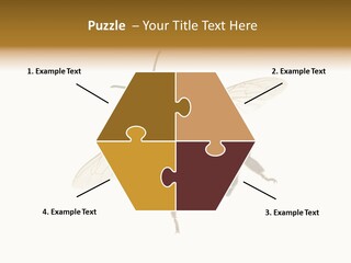 A Bee On A White Background Powerpoint Template PowerPoint Template