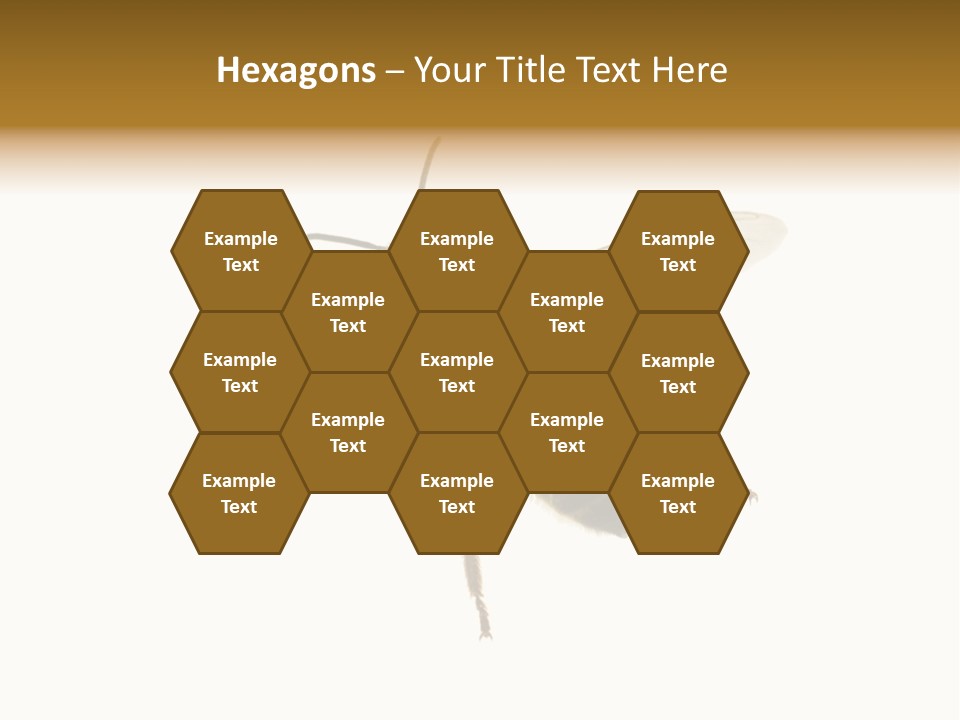 A Bee On A White Background Powerpoint Template PowerPoint Template