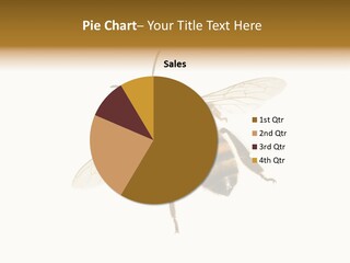A Bee On A White Background Powerpoint Template PowerPoint Template