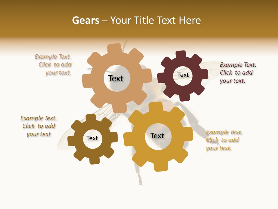 A Bee On A White Background Powerpoint Template PowerPoint Template