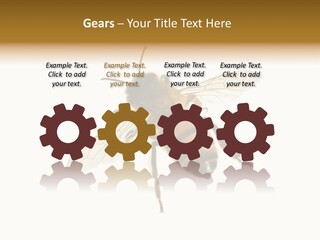A Bee On A White Background Powerpoint Template PowerPoint Template