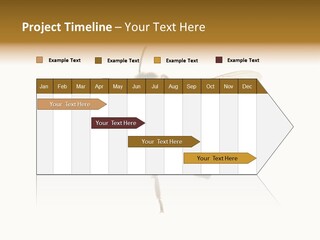 A Bee On A White Background Powerpoint Template PowerPoint Template