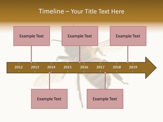 A Bee On A White Background Powerpoint Template PowerPoint Template