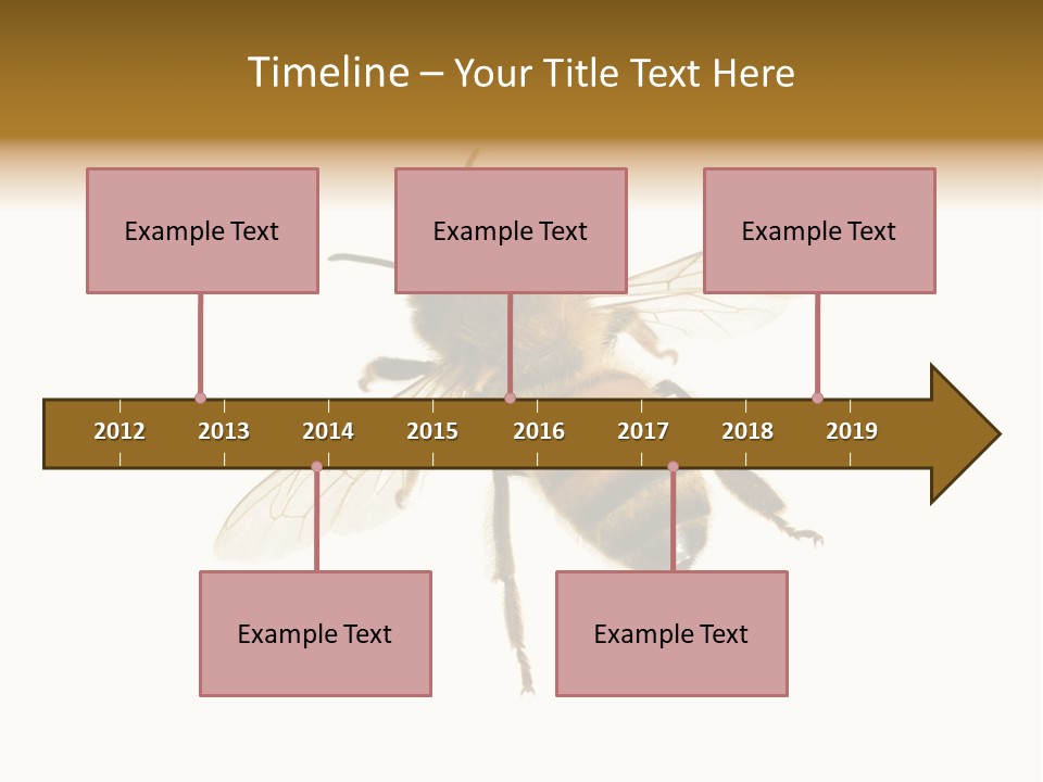 A Bee On A White Background Powerpoint Template PowerPoint Template