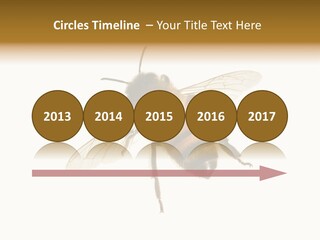 A Bee On A White Background Powerpoint Template PowerPoint Template