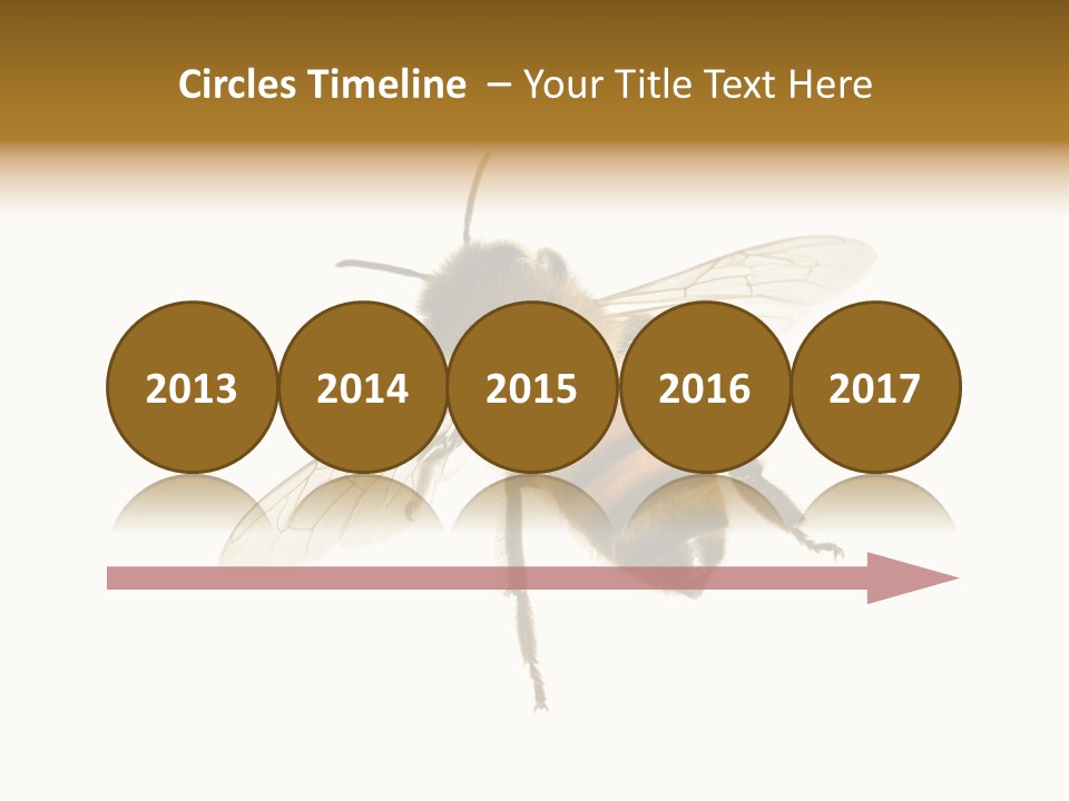 A Bee On A White Background Powerpoint Template PowerPoint Template