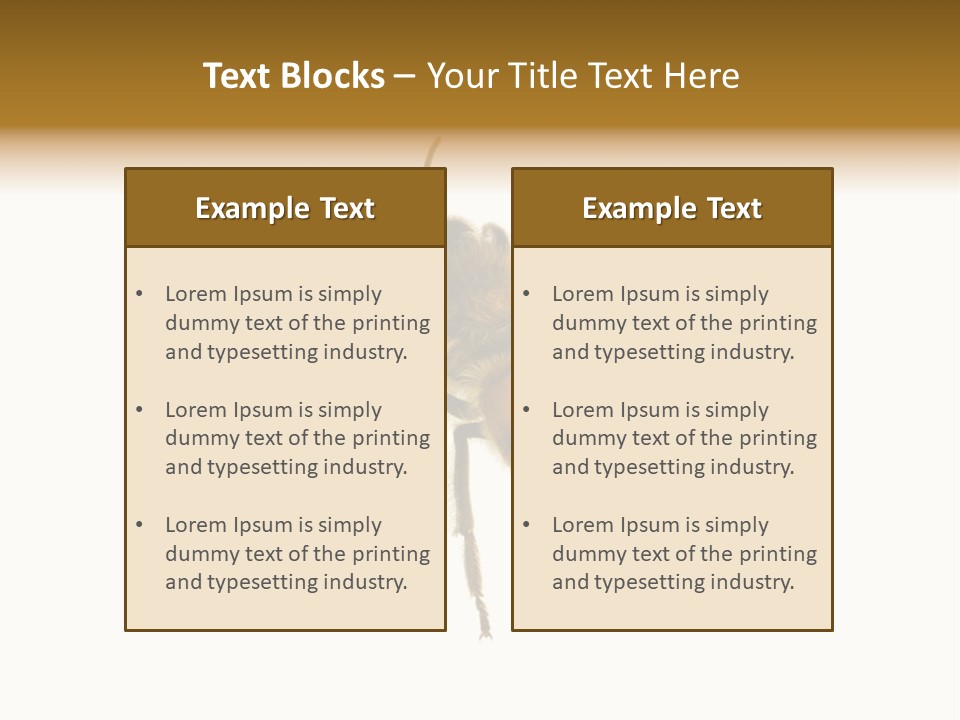 A Bee On A White Background Powerpoint Template PowerPoint Template