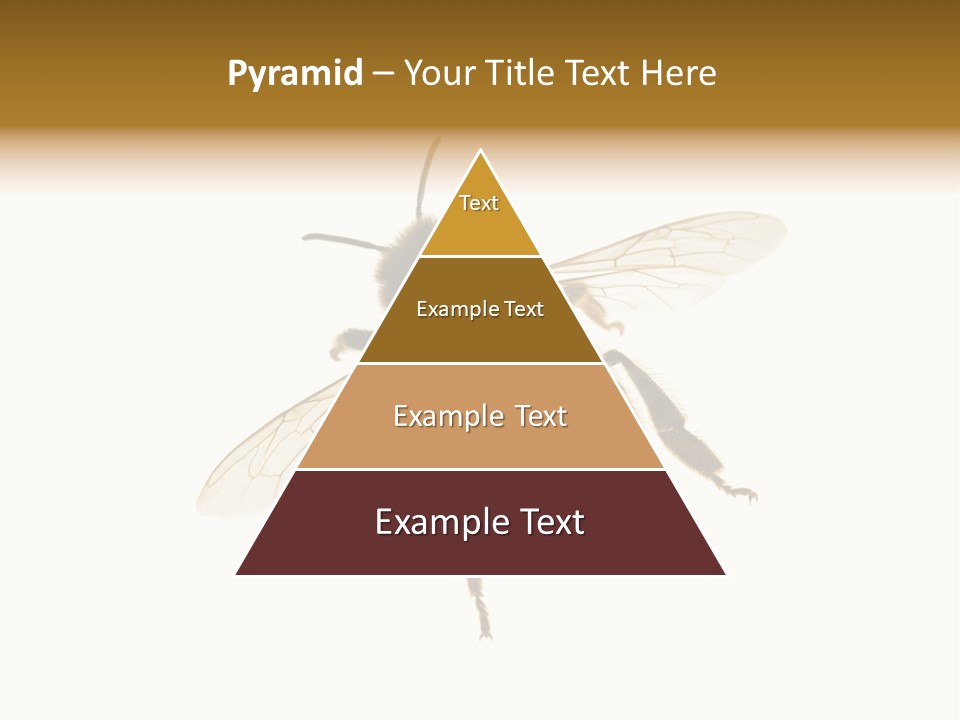 A Bee On A White Background Powerpoint Template PowerPoint Template