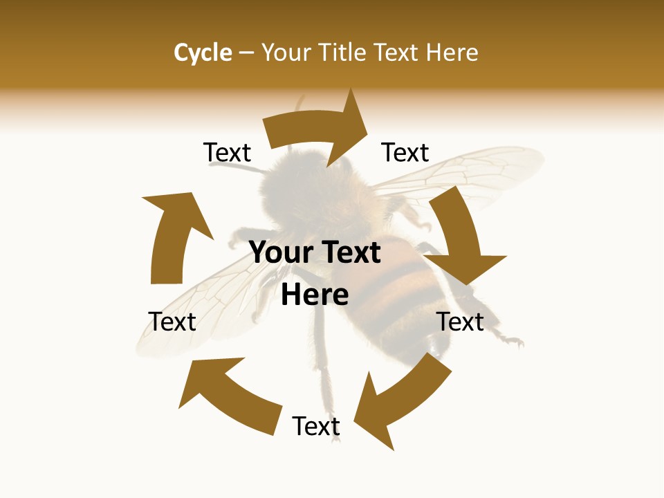 A Bee On A White Background Powerpoint Template PowerPoint Template