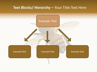 A Bee On A White Background Powerpoint Template PowerPoint Template