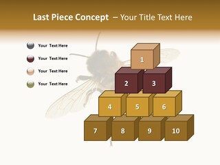 A Bee On A White Background Powerpoint Template PowerPoint Template