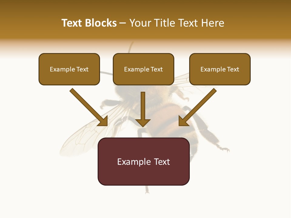 A Bee On A White Background Powerpoint Template PowerPoint Template