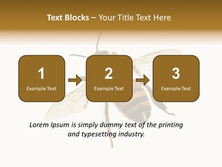 A Bee On A White Background Powerpoint Template PowerPoint Template