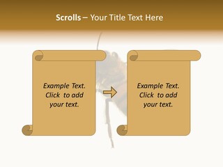 A Bee On A White Background Powerpoint Template PowerPoint Template