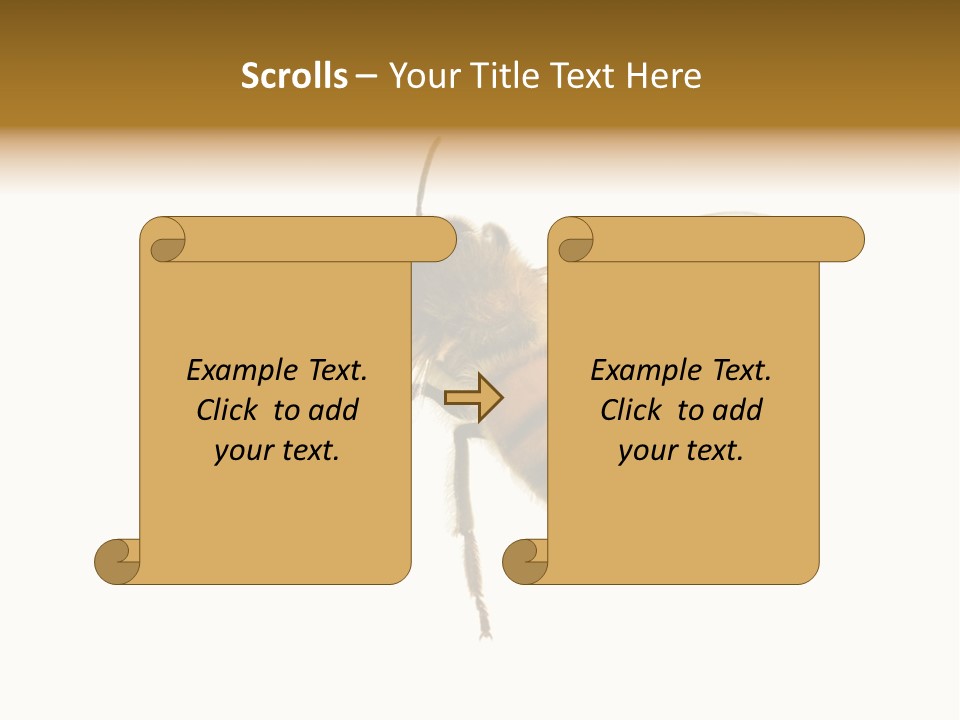 A Bee On A White Background Powerpoint Template PowerPoint Template