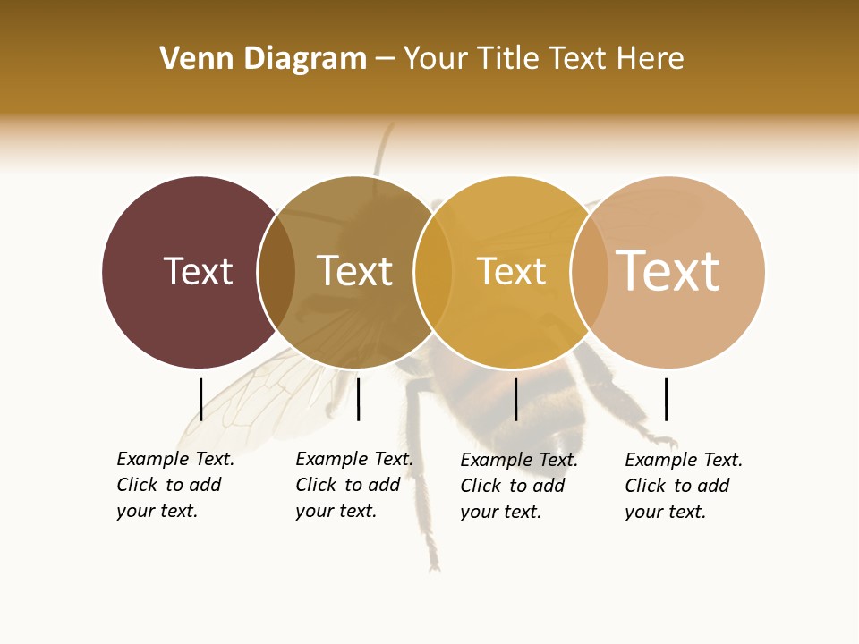 A Bee On A White Background Powerpoint Template PowerPoint Template