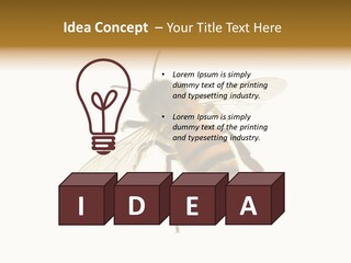 A Bee On A White Background Powerpoint Template PowerPoint Template