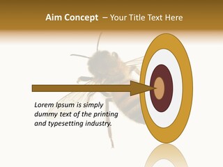 A Bee On A White Background Powerpoint Template PowerPoint Template