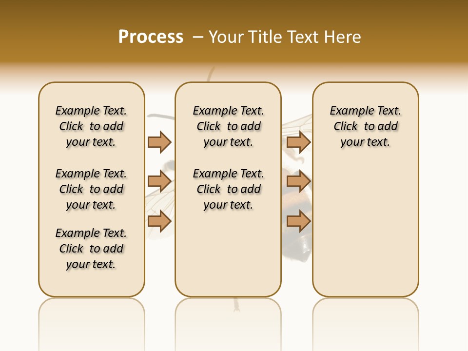 A Bee On A White Background Powerpoint Template PowerPoint Template