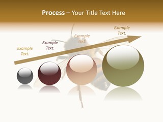 A Bee On A White Background Powerpoint Template PowerPoint Template