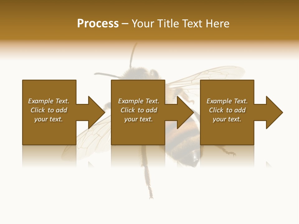 A Bee On A White Background Powerpoint Template PowerPoint Template