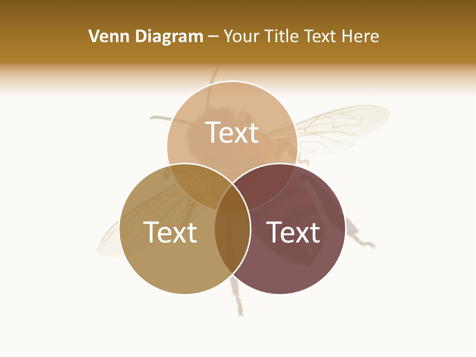 A Bee On A White Background Powerpoint Template PowerPoint Template