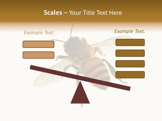 A Bee On A White Background Powerpoint Template PowerPoint Template