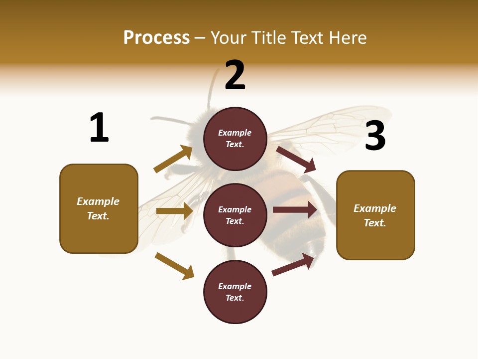 A Bee On A White Background Powerpoint Template PowerPoint Template