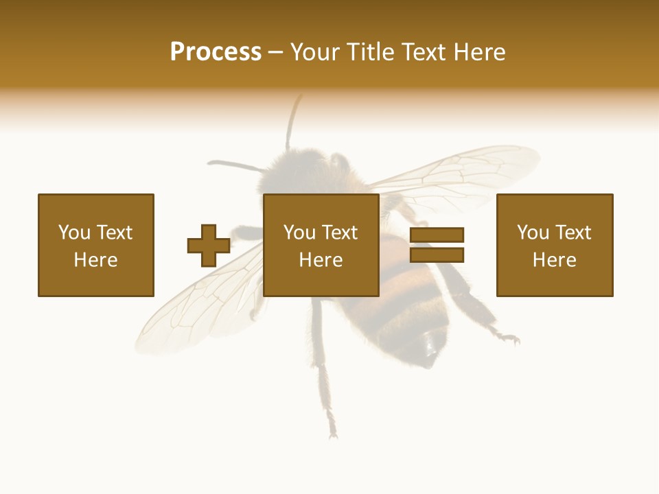 A Bee On A White Background Powerpoint Template PowerPoint Template
