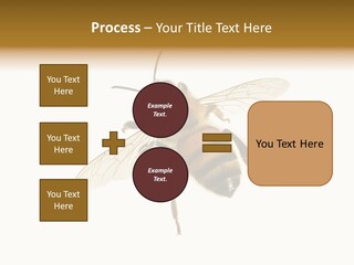 A Bee On A White Background Powerpoint Template PowerPoint Template